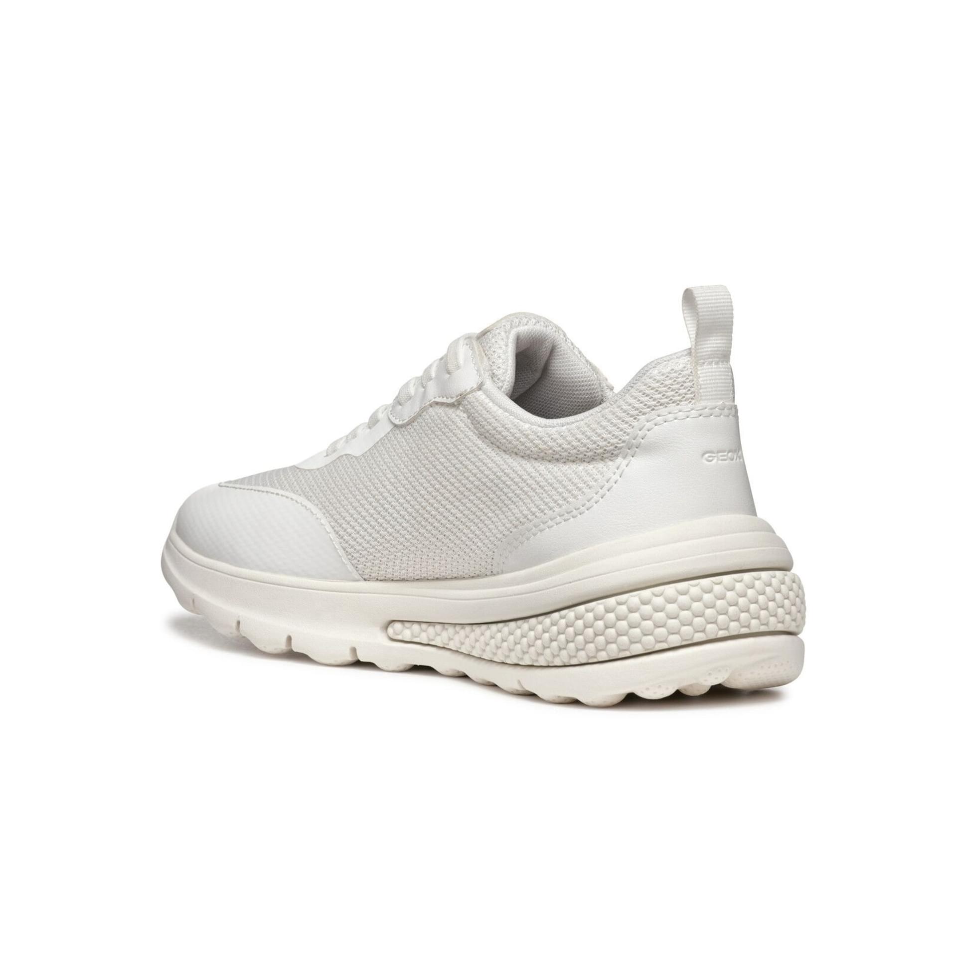 Geox Activart Sneakers D46XTA_01454 in Off White