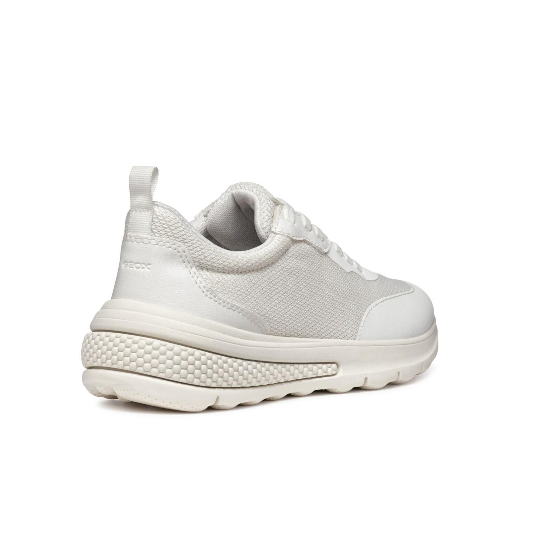 Geox Activart Sneakers D46XTA_01454 in Off White