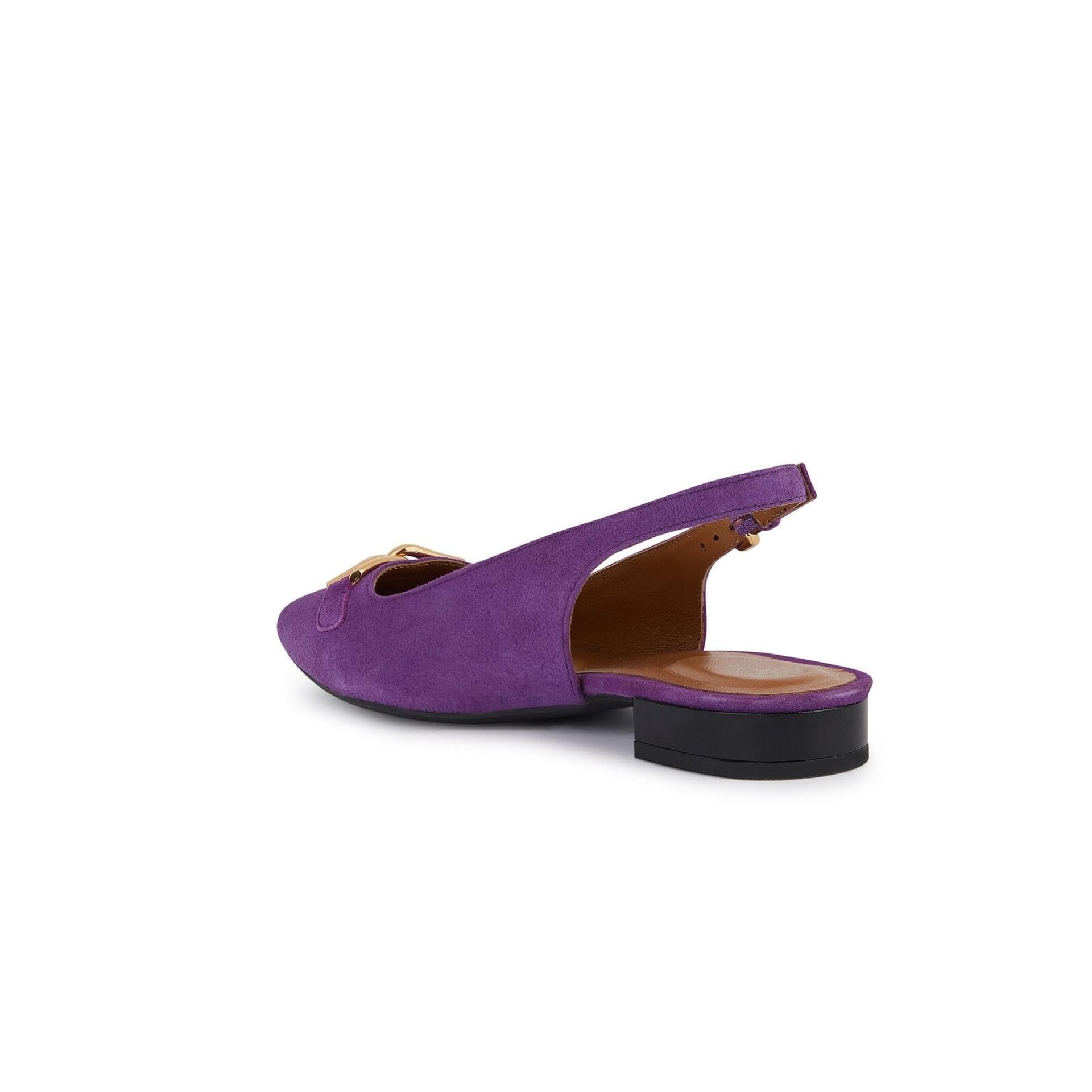 Geox Charyssa Ballerinas D459BB_00021 in Purple