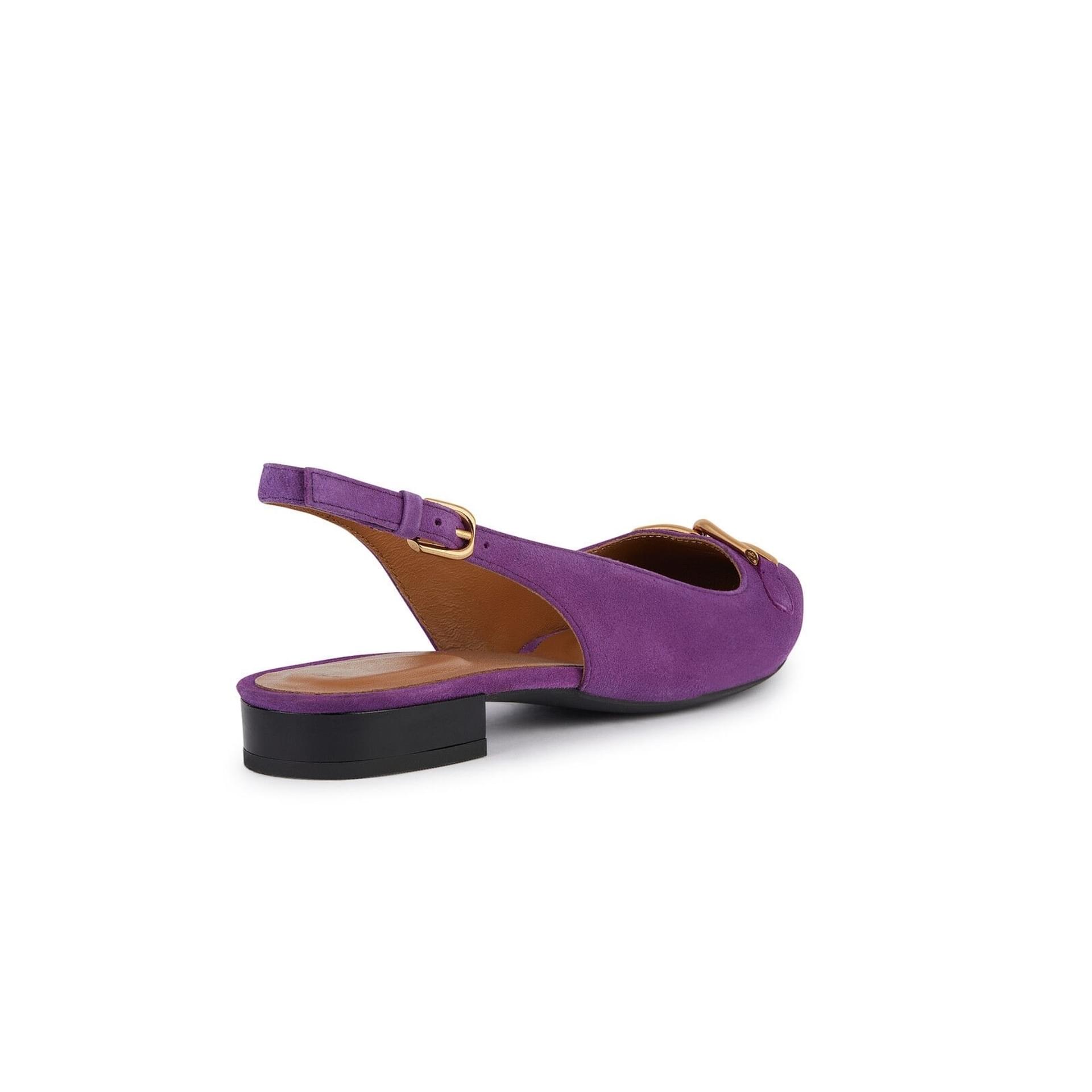 Geox Charyssa Ballerinas D459BB_00021 in Purple