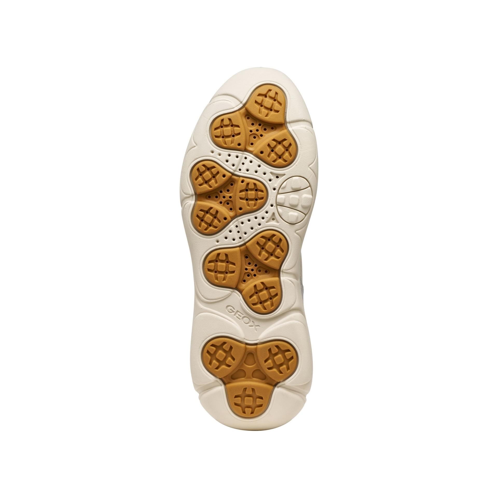 Geox Nebula 2.0 X Sneakers D56NHE_04622 in Papyrus/Green