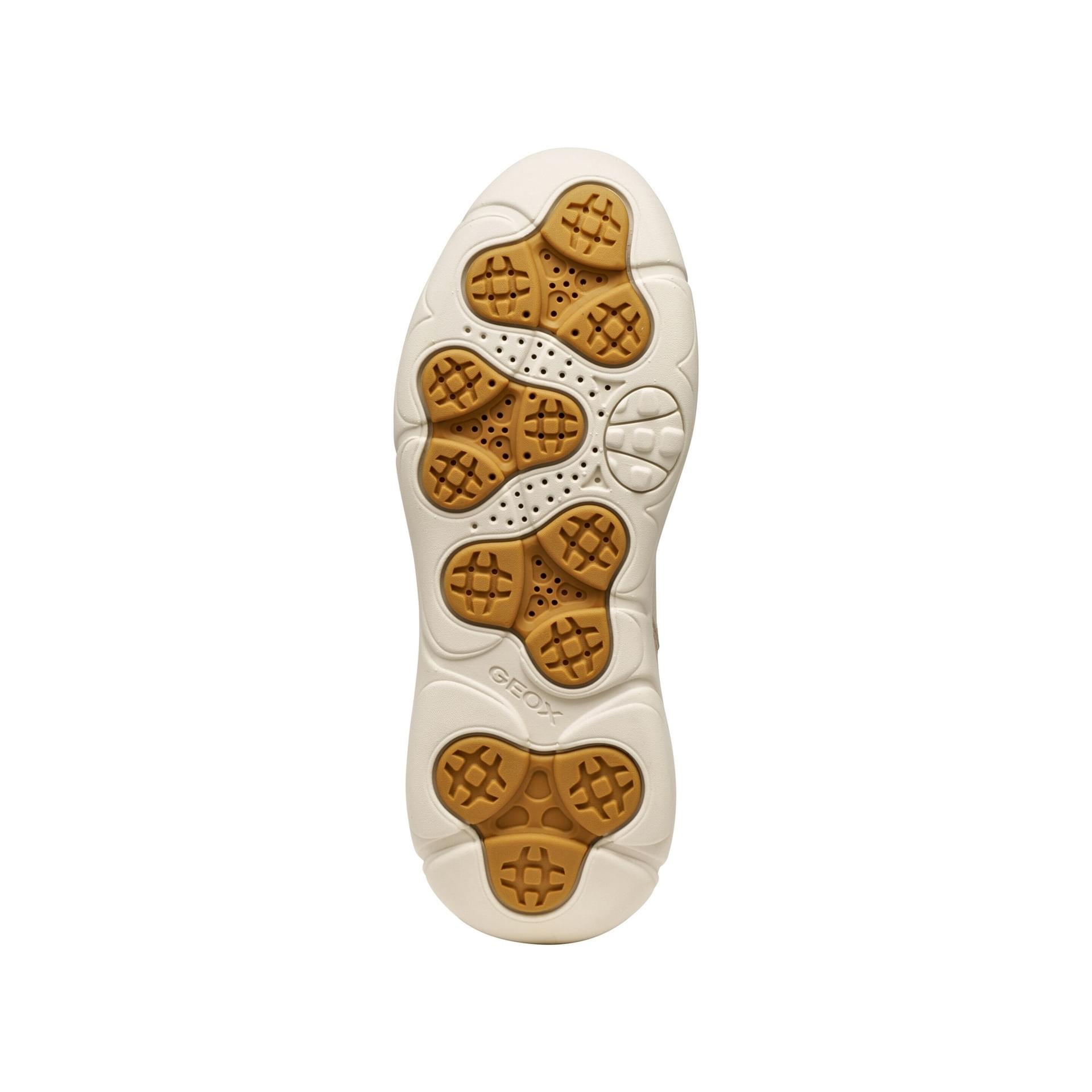 Geox Nebula 2.0 X Sneakers D56NHE_04622 in Papyrus/Powder