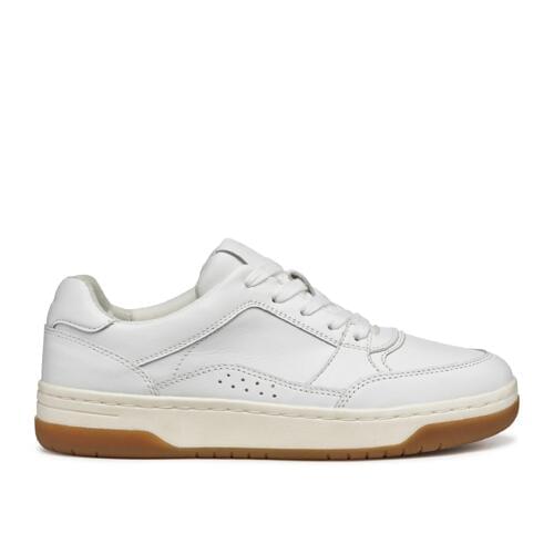 Geox Sedral Court Sneakers