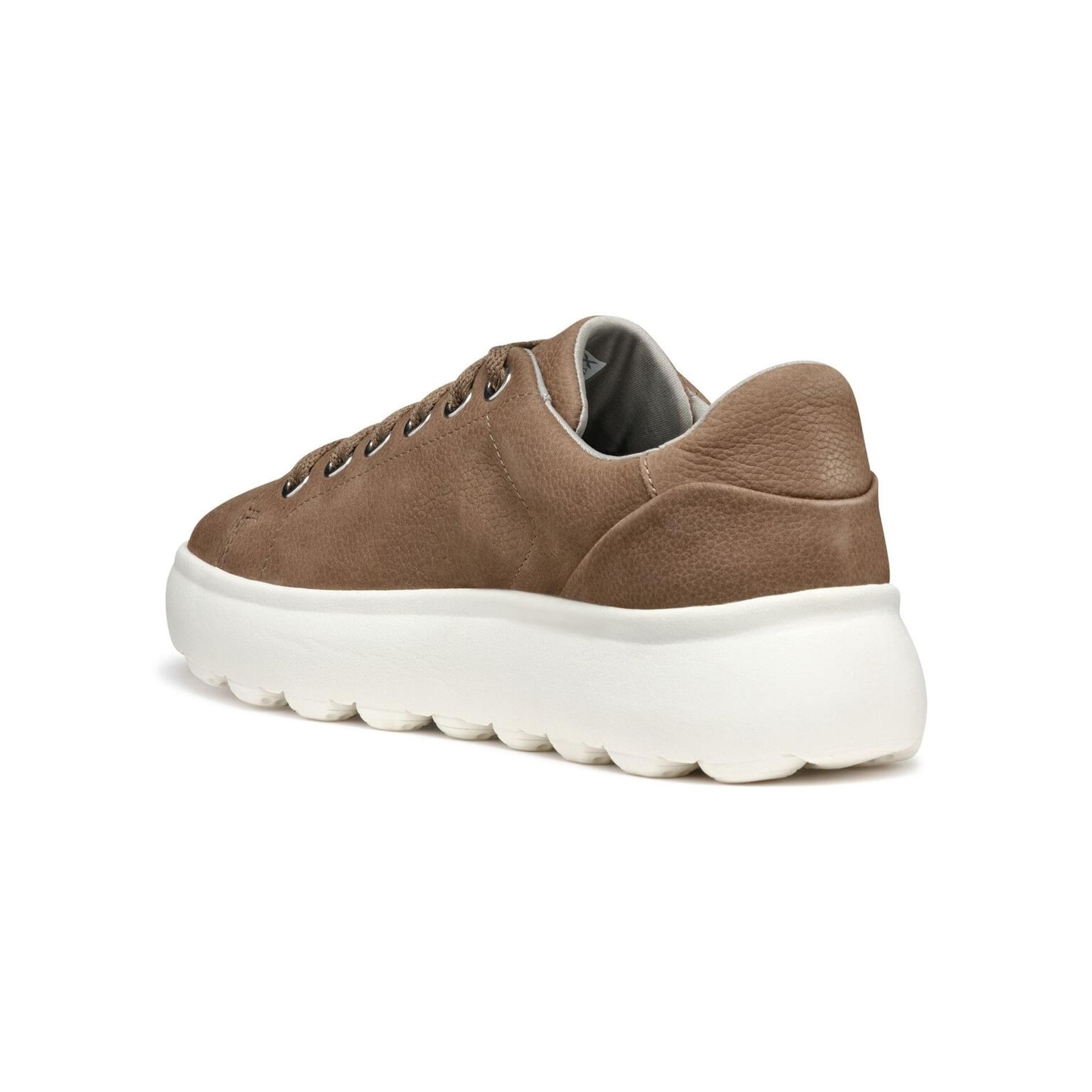 Geox Spherica Ec4.1 Sneakers D35TCB_00076 in Dark Taupe