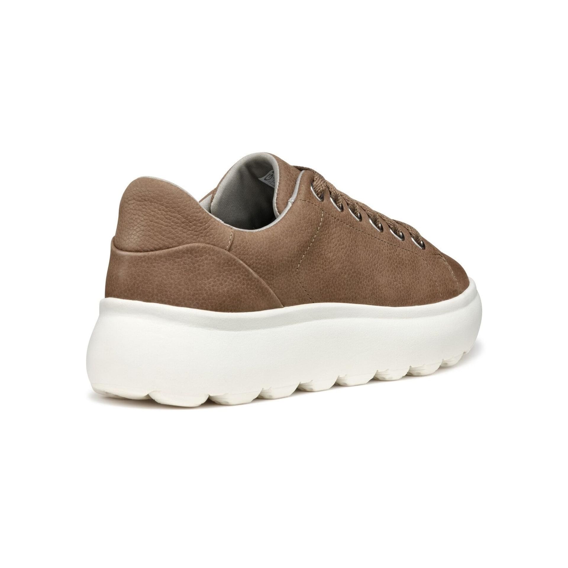 Geox Spherica Ec4.1 Sneakers D35TCB_00076 in Dark Taupe