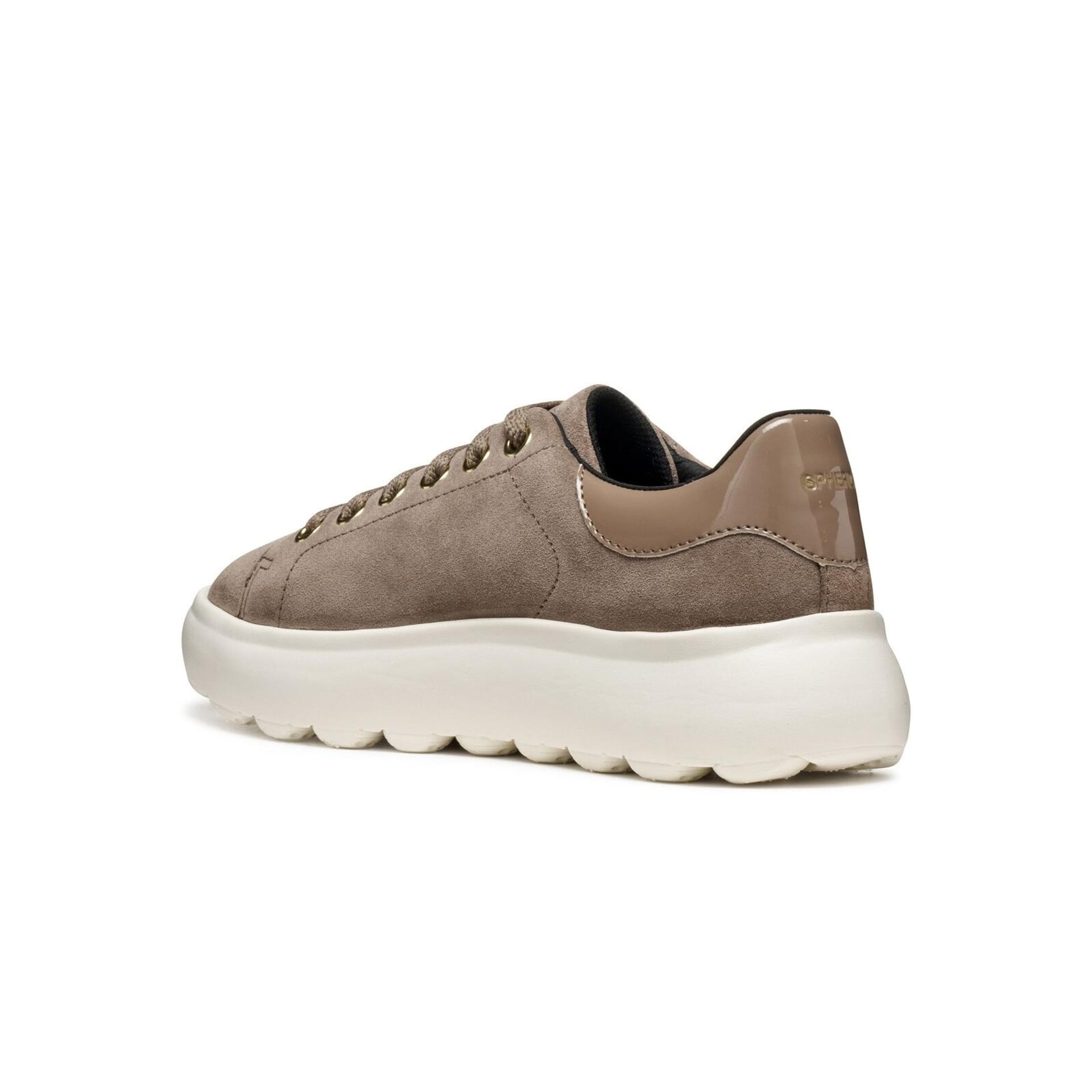Geox Spherica Ec4.1 Sneakers D45TCD_022HH in Taupe