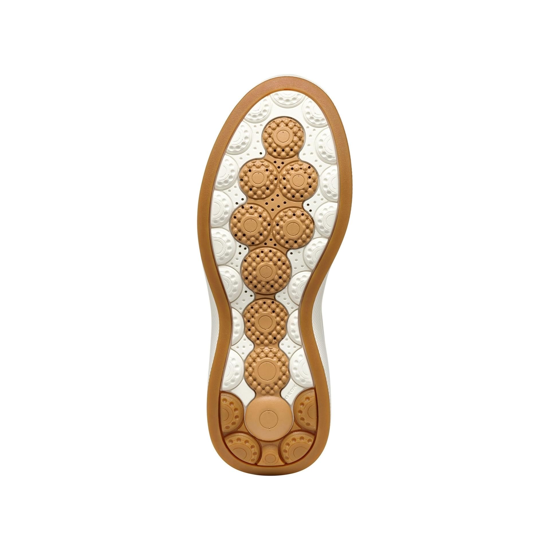 Geox Spherica Ecub-3 Sneakers D46WTD_08504 in Papyrus