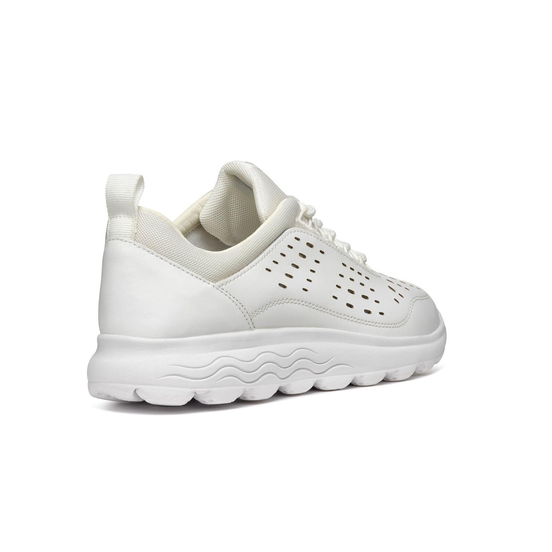 Geox Spherica Sneakers D45NUD_08514 in White