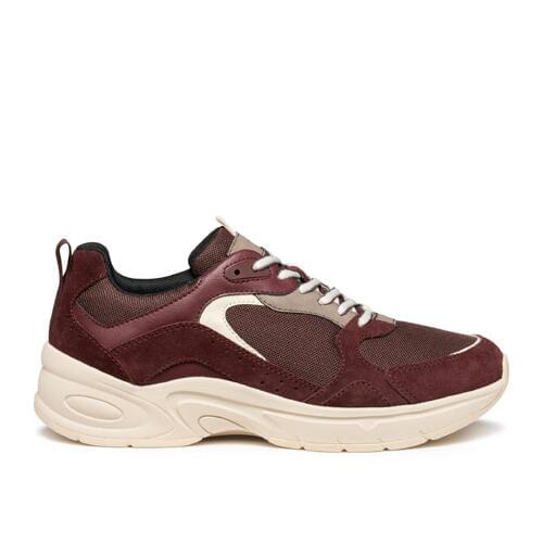 Geox Zarvia Sneakers