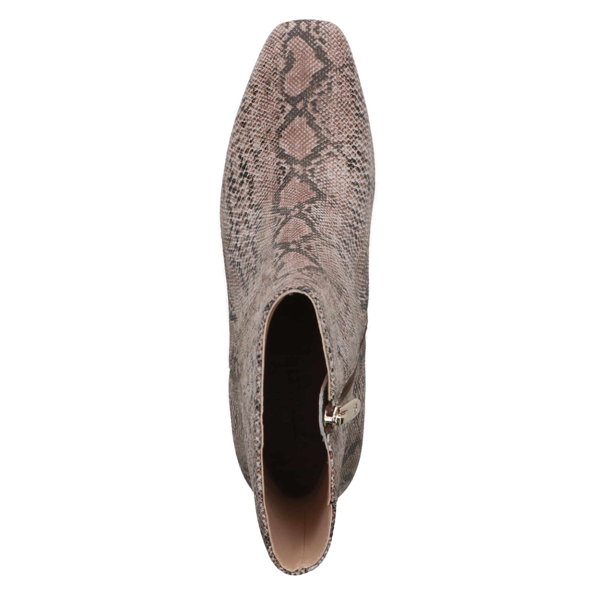 Peter Kaiser Hamilton Laarzen in Beige Snake, bovenaanzicht (SKU 9-75315-45--406)